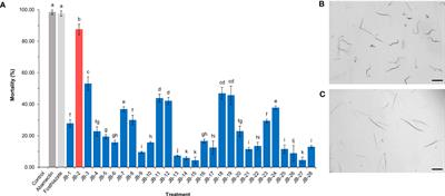 Assessment of <mark class="highlighted">nematicidal</mark> and plant growth-promoting effects of Burkholderia sp. JB-2 in root-knot nematode-infested soil